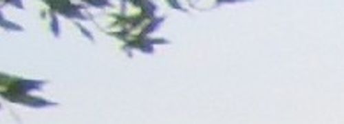 W GLI SPOSI